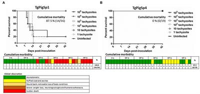 Isolation, Genotyping, and Mouse Virulence Characterization of Toxoplasma gondii From Free Ranging Iberian Pigs